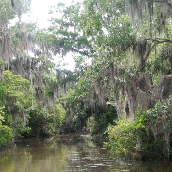 Meet your Posher, Lucinda - Picture 1 of 1